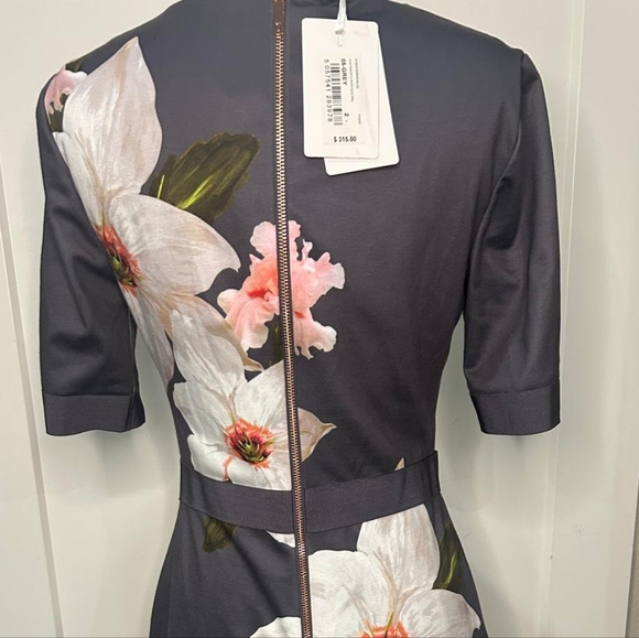 Ted Baker NWT Bisslee Chatsworth Floral Bloom Bodycon Dress Size 2 - Picture 7 of 11